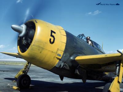 P-47D 42-22878