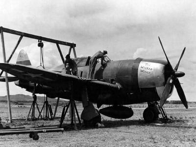 P-47D 19th Fighter Squadron, 318th Fighter Group