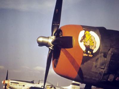 P-47 Hairless Joe