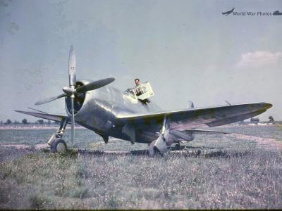 P-47 Thunderbolt part 2