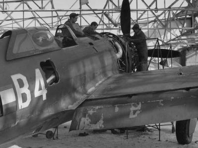 365th Fighter Group 387 FS P-47 Thunderbolt