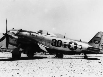P-47D Thunderbolt #30 42-29002 „Ponnie” of the 57th Fighter Group
