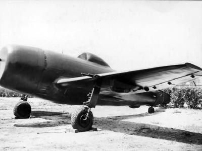 P-47D Thunderbolt covered in plastic coating
