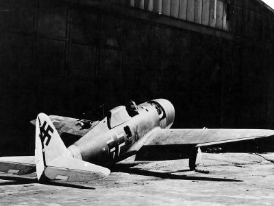 P-47D serial 42-75971 T9+LK of the Zirkus Rosarius