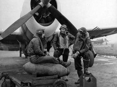 Pilots and P-47 Thunderbolt from 351st Fighter Squadron, 353rd Fighter Group