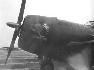 P-47 nose art Maximun Goose