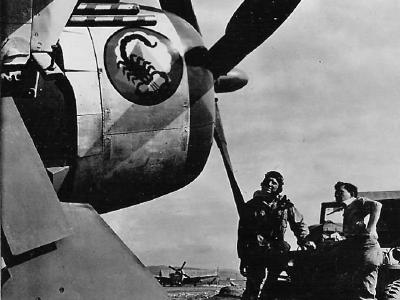 65th Fighter Squadron P-47