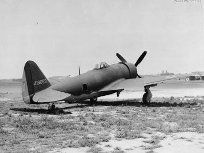 Brazilian Republic P-47D-28 44-19663