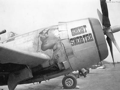 P-47 Short Snorter of the 318th FG
