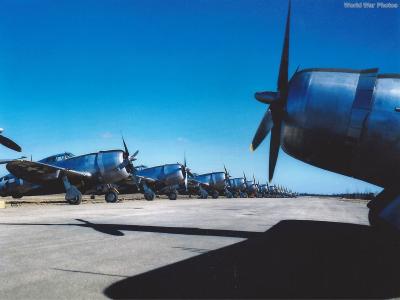 P-47D color photo