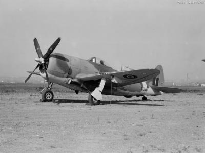 Thunderbolt Mk II KJ346 2