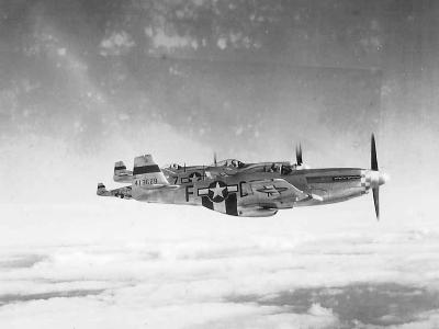Aerial View P-51D 44-13629 Mustang code D7-F of 503rd FS 339th FG In Flight