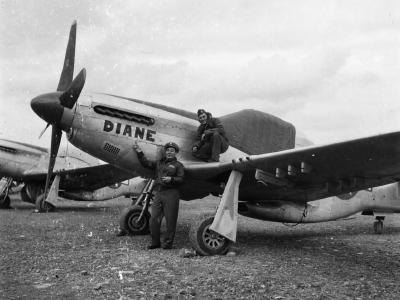 North American P-51D Mustang Diane