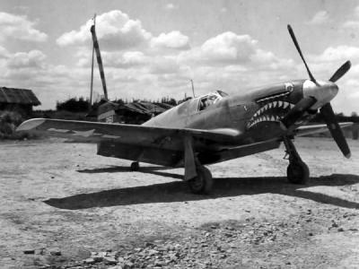 P-51B Mustang 261of the 26th FS 51st Fighter Group