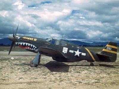 P-51B Mustang 51st Fighter Group shark mouth 43-7058