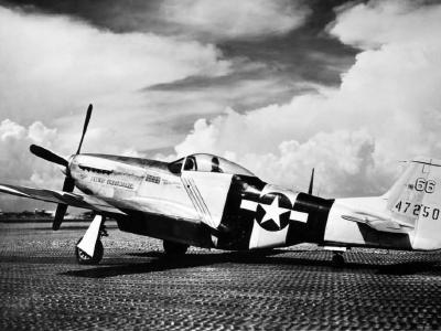 P-51D Mustang 71st TRG 82 TRS Maj Bill Shomo 44-72505 The Flying Undertaker