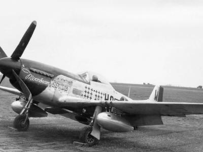 P-51D Mustang Moonbeam McSwine 352nd Fighter Group