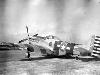 P-51K Mustang 348th Fighter Group