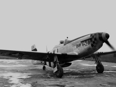 P-51D Mustang 353rd Fighter Group 351st Fighter Squadron
