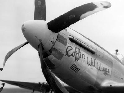 Damaged P-51Mustang 364th Fighter Group Mustang Coffin Wit Wings