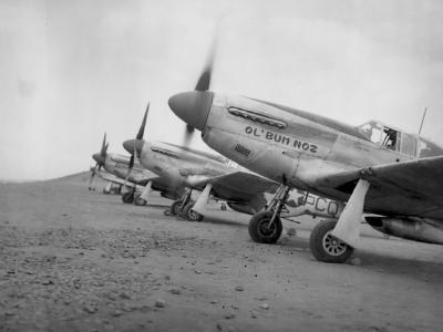 Mustangs of the 31st Fighter Group