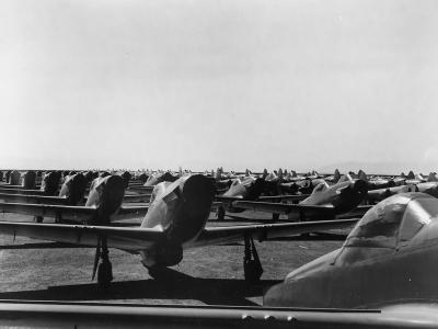 Weatherized North American P-51 Mustangs At Nas Alameda March 1945