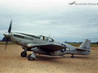 F-6C Mustang