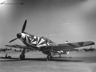 P-51A 1943