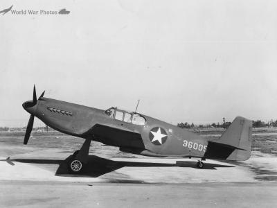 P-51A Mustang 43-6005