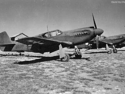 P-51A 43-6081