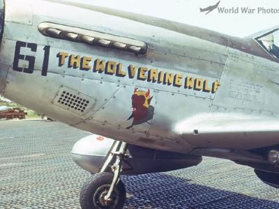 P-51D 44-15413 The Wolverine Wolf 2nd FS 2nd ACG