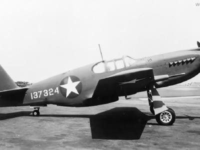 P-51-2 Mustang at Mines Field