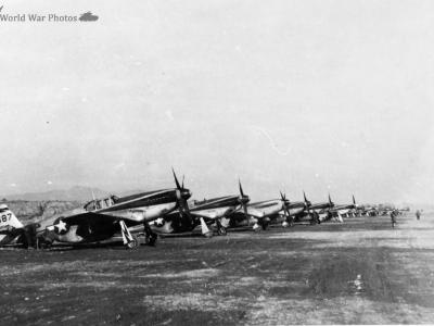 P-51 118th TRS on the ground