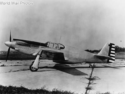 North American XP-51 41-038, AG348