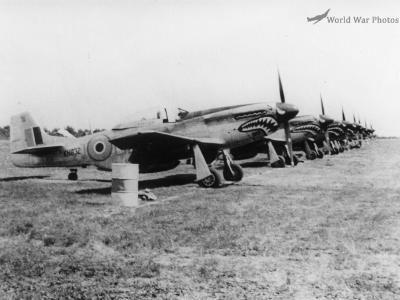 Mustang 112 Sqn Lavariano Italy
