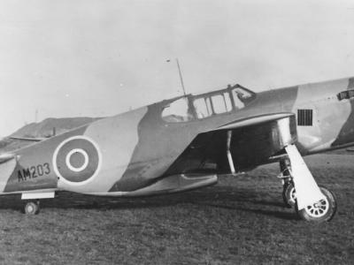 Mustang AM203 in high-speed paint finish