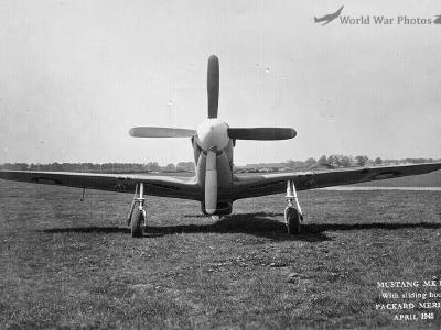 Mustang Mk III