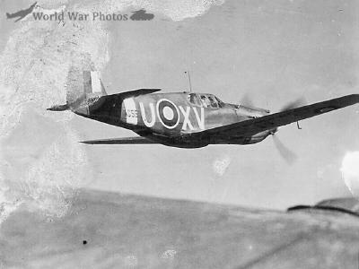 P-51 2 Squadron RAF in flight