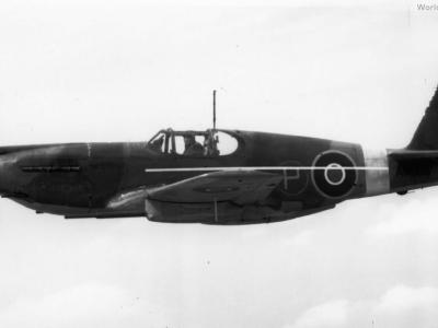 Mustang Mk I AM106 with 40 mm guns