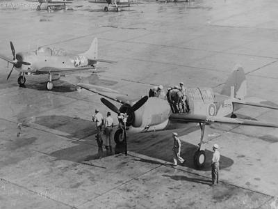 Brewster Bermuda FF775 and SBD