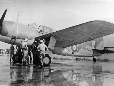 Brewster Bermuda FF775