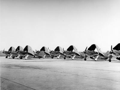 Curtiss SB2C Helldivers at St. Louis Missouri ready for delivery in June 1943