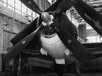 Curtiss XSB2C-6 Helldiver January 17, 1945