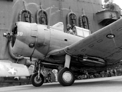 SBD-3 white 38