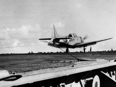 SBD-3 Dauntless 41-S-16 of the VS-41