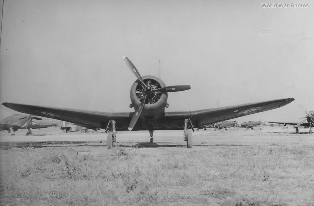 A-24