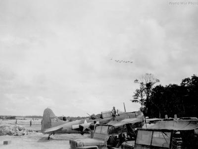 Marine Dauntless bougainville