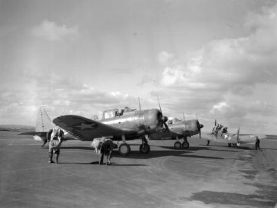 SBD Dauntless