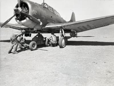 SBD Dauntless VMSB-241