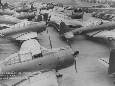 SBD and A-24